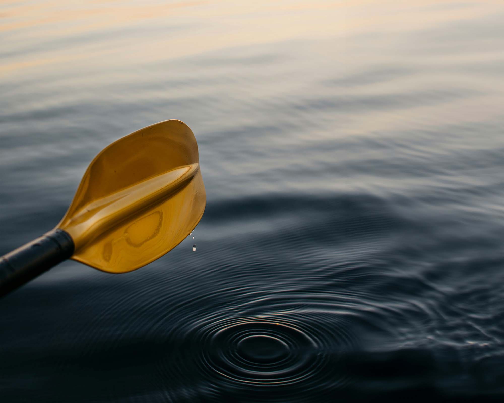 2023-24 Community Report