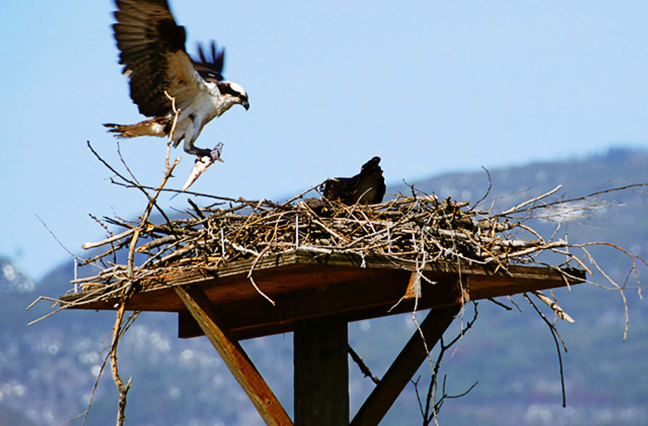 2024-25 Community Report